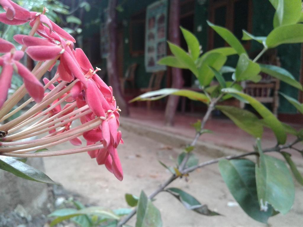 Bluesky Guest House Dambulla Exterior foto