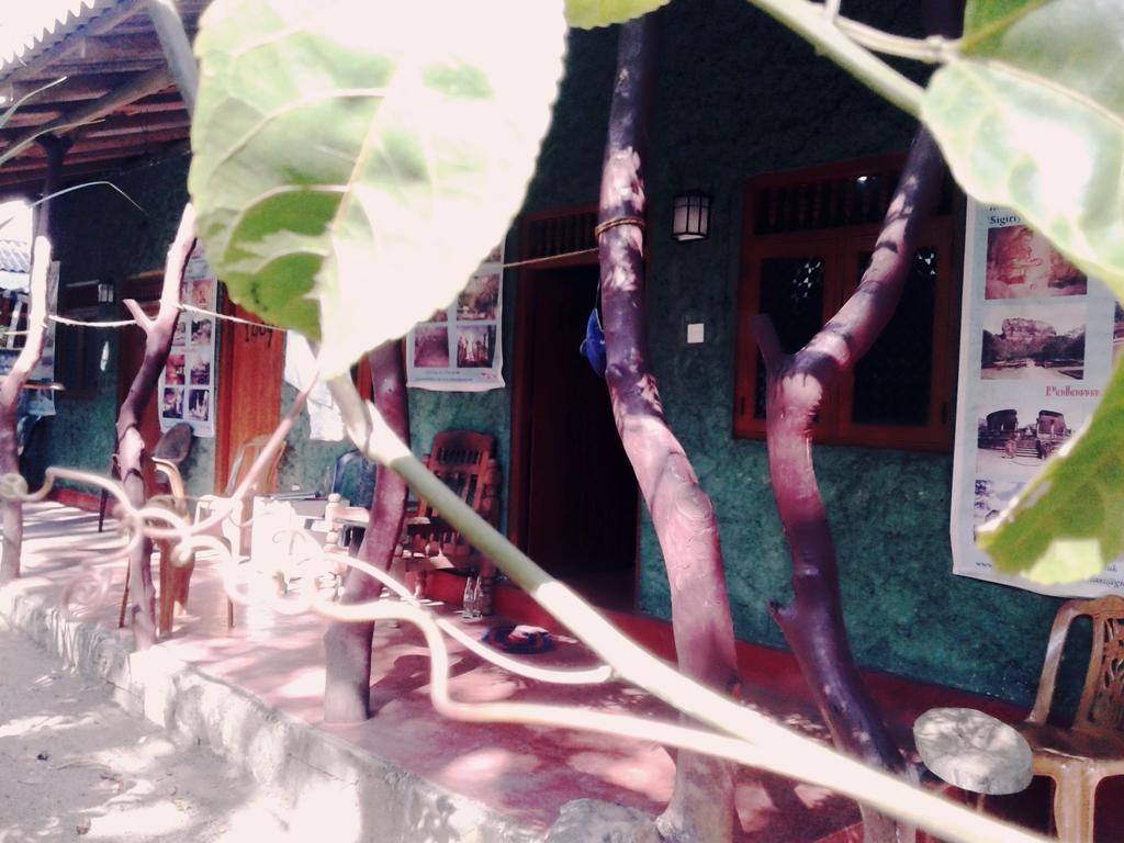 Bluesky Guest House Dambulla Exterior foto