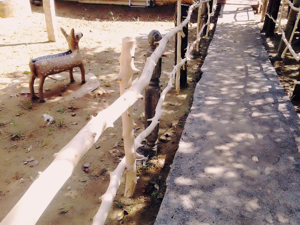 Bluesky Guest House Dambulla Exterior foto