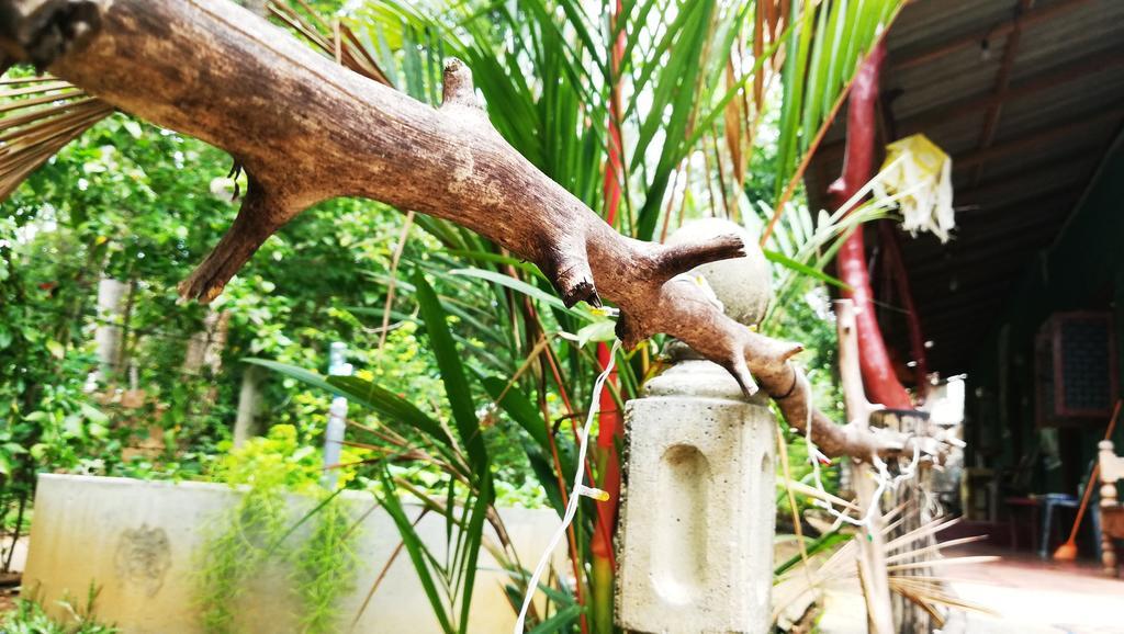 Bluesky Guest House Dambulla Exterior foto